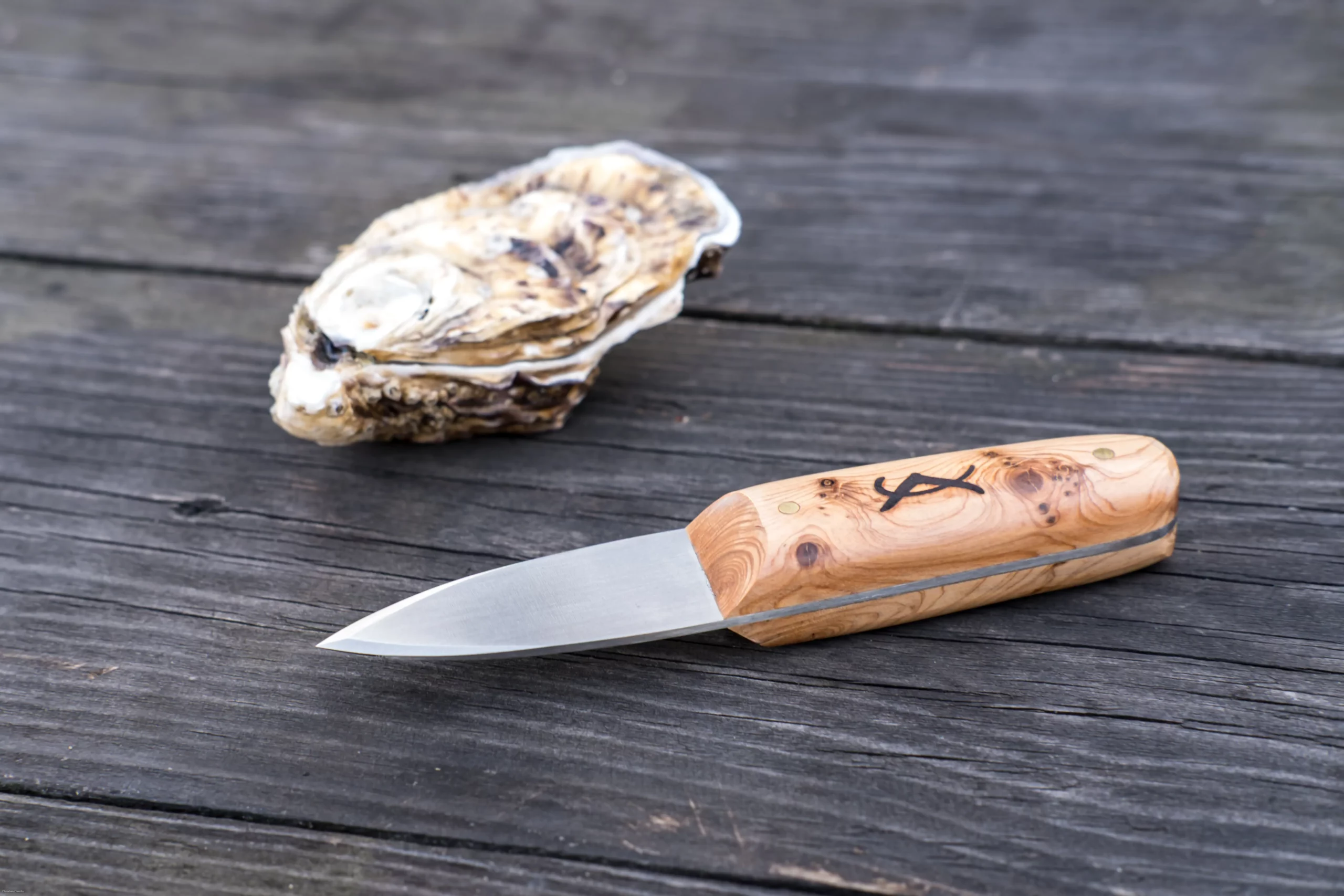Le couteau à huitres Little Robert essence Genévrier créé par l'Atelier d'Affûtage