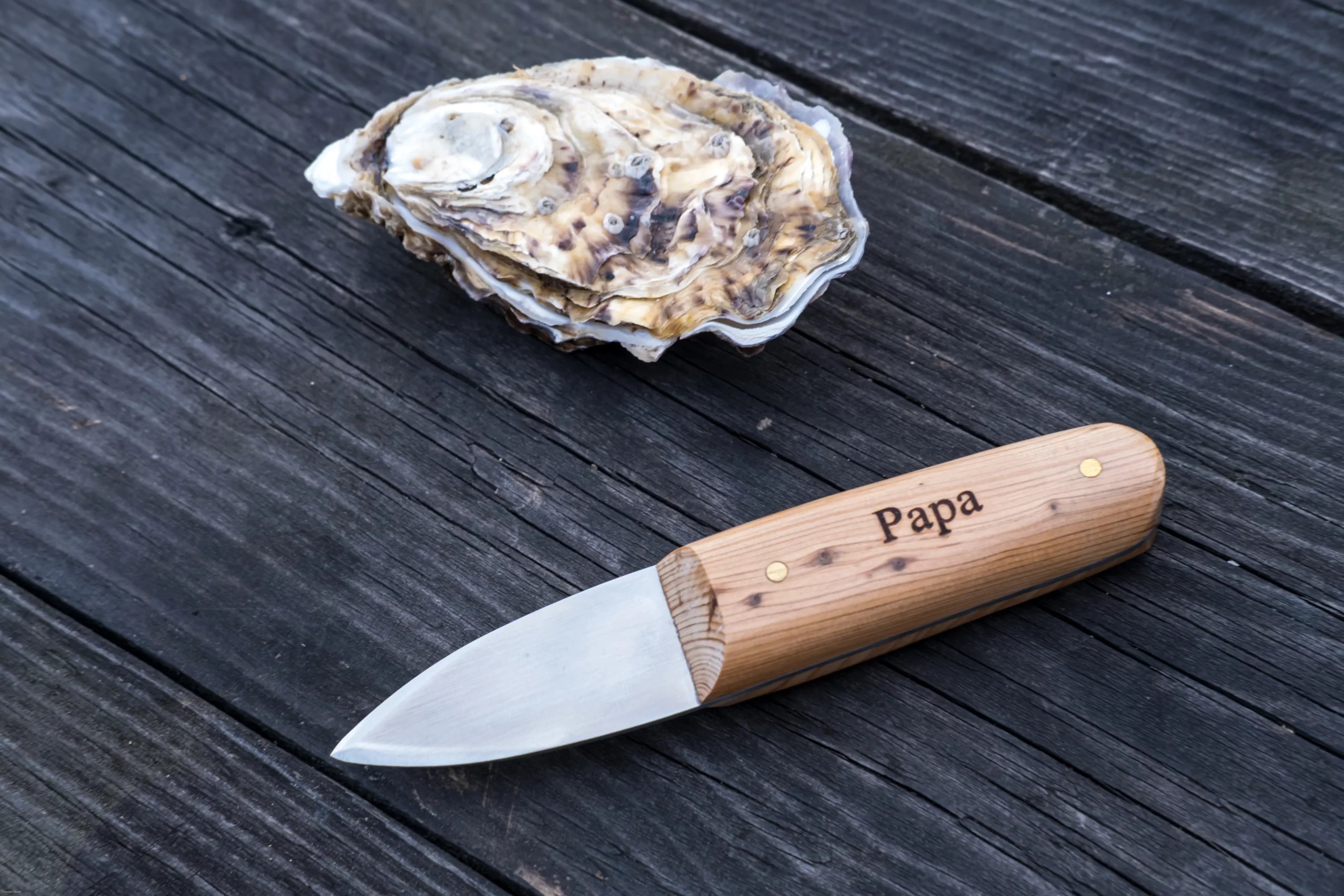 Le couteau à huîtres le Little Robert avec la gravure Papa posé sur une table en bois à côté d'une huître